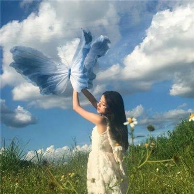 风流神探